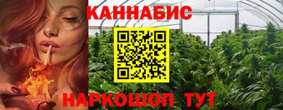 гидра Тара