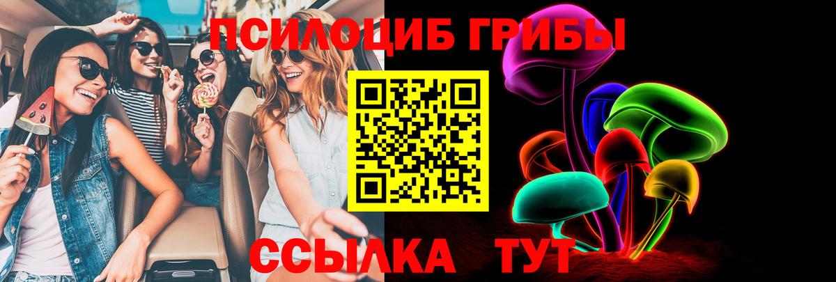 Новосибирск  Галлюциногенные грибы Magic Shrooms  Вход с VPN  Псилоцибиновые грибы Cubensis 